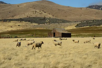 DSC_3123 (Large).JPG